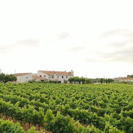 Soul Farm Mas Els Igols Villa Torrellas de Foix Ngoại thất bức ảnh