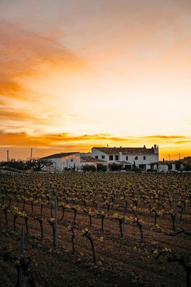 Soul Farm Mas Els Igols Villa Torrellas de Foix Ngoại thất bức ảnh